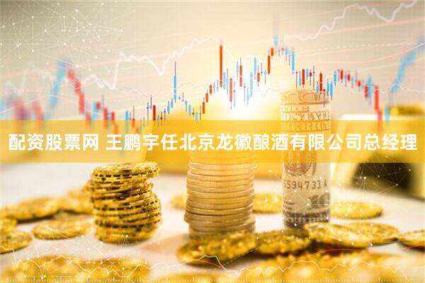 配资股票网 王鹏宇任北京龙徽酿酒有限公司总经理
