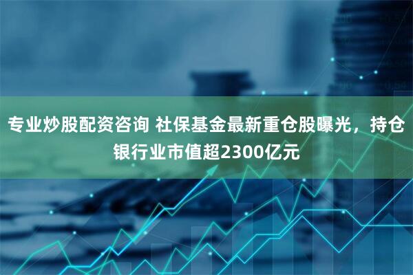 专业炒股配资咨询 社保基金最新重仓股曝光，持仓银行业市值超2300亿元