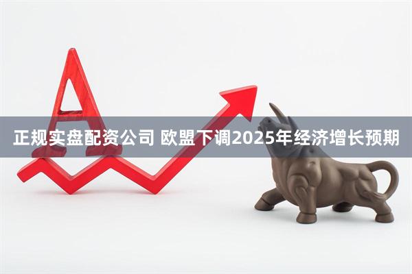 正规实盘配资公司 欧盟下调2025年经济增长预期